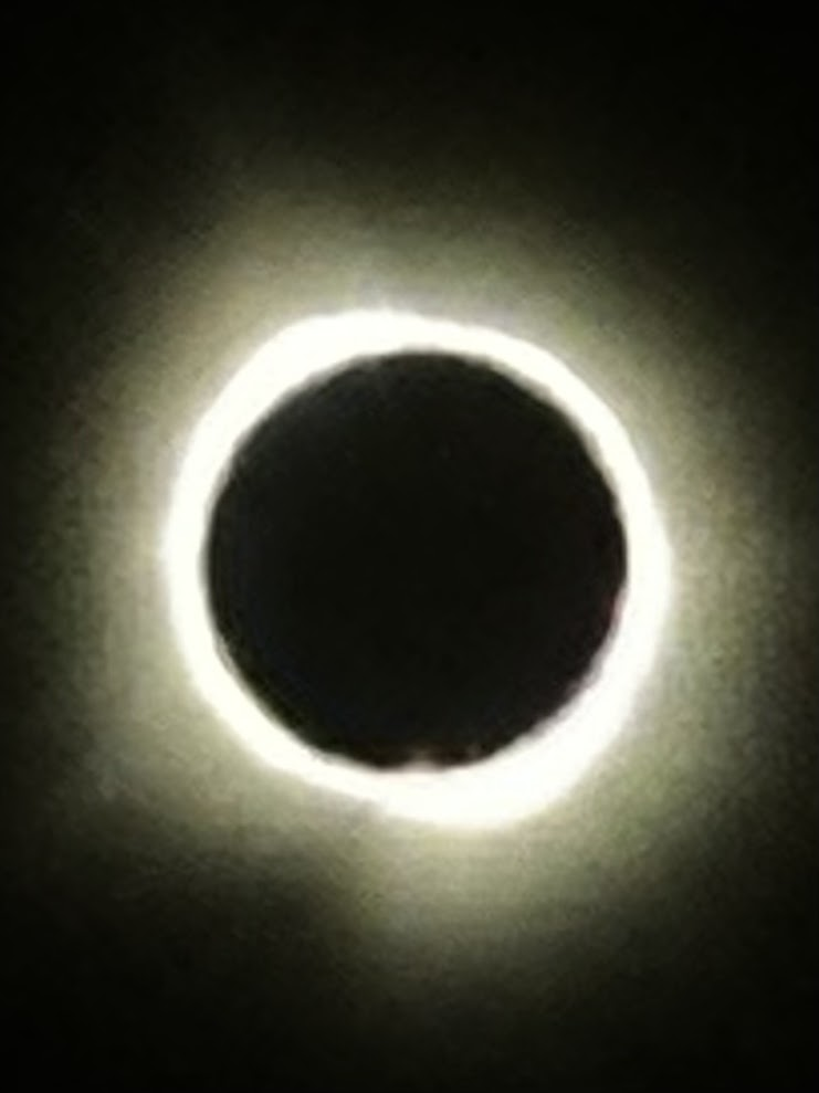 1712979184452.png