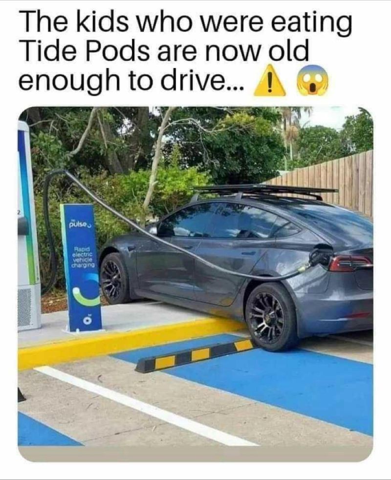 1713311465500.jpg