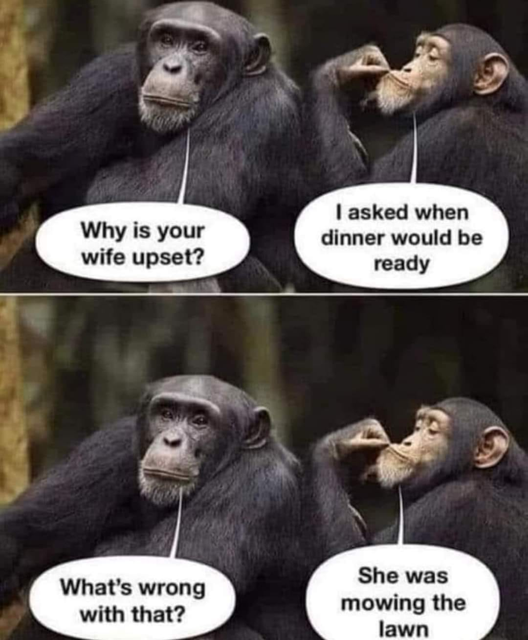 1713704480184.pngsw.png