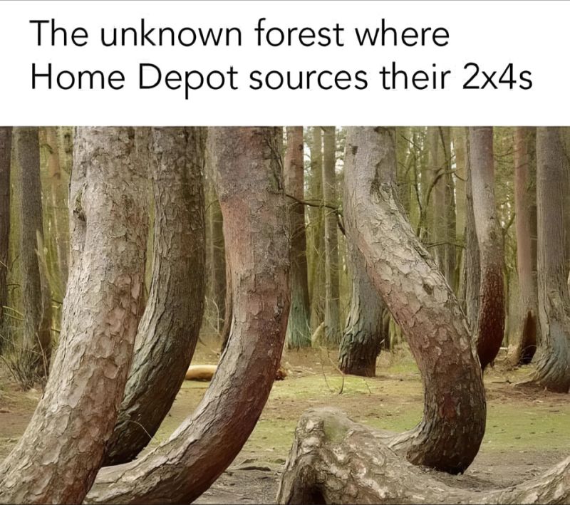 1713883177392.jpg