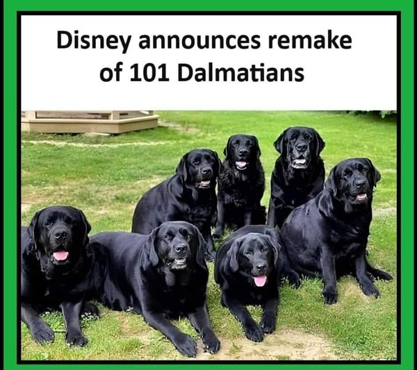 1716567629446.png
