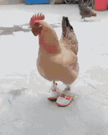 1718136110685.gif