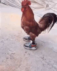 1718136190930.gif