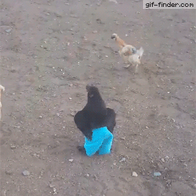 1718136254528.gif