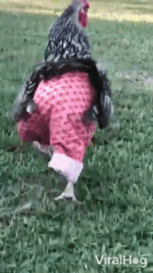 1718136305830.gif