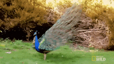 1718491785411.gif