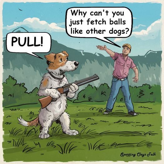1719591384064.png