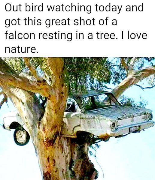 1720044338265.png
