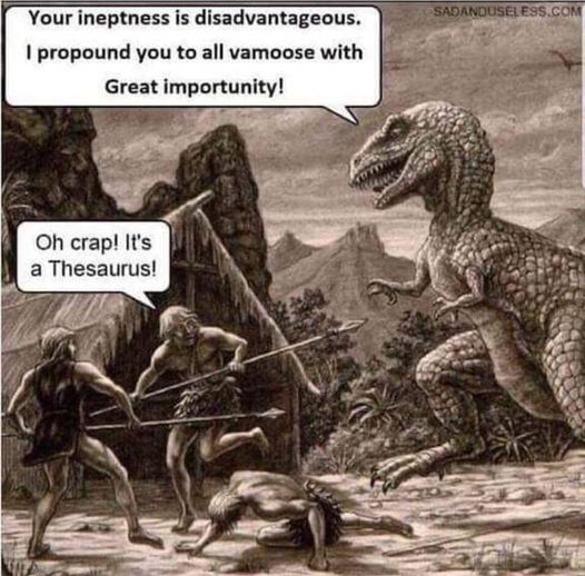 1725561209403.jpeg
