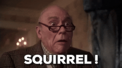 1739290486485.gif