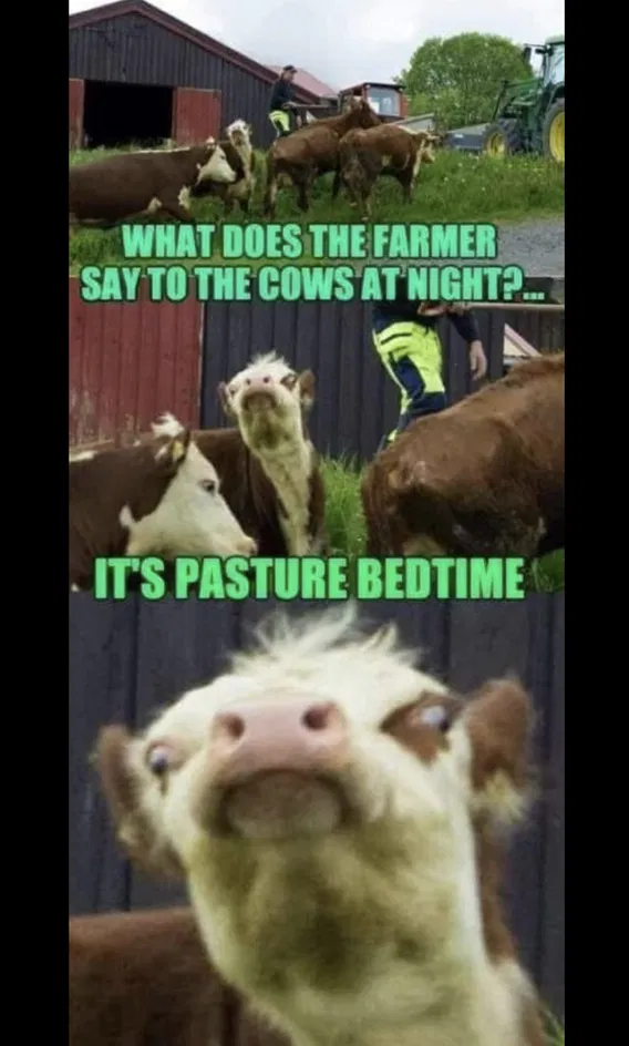 1739359733876.png