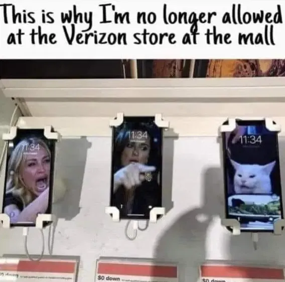 1740106231041.png