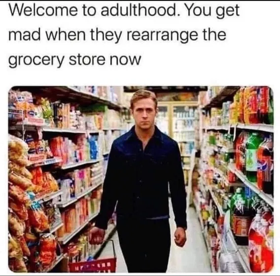 1740106400687.png