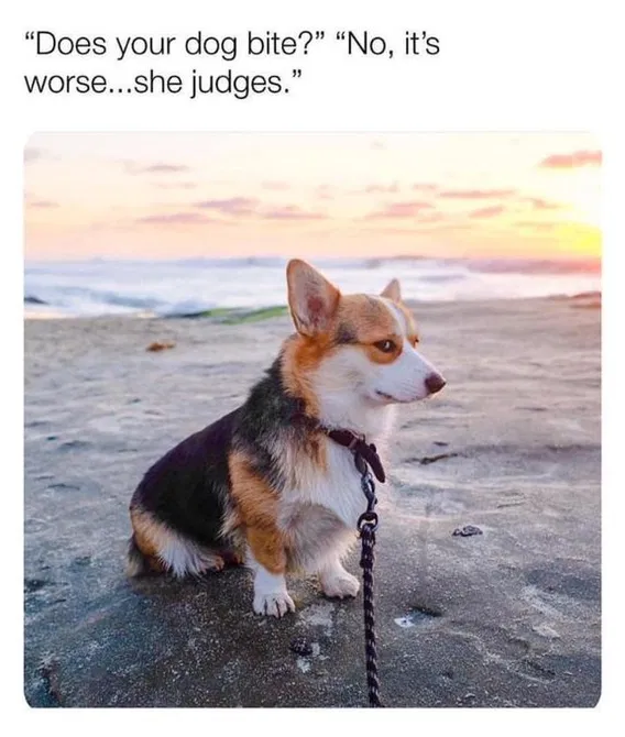 1740107074428.png