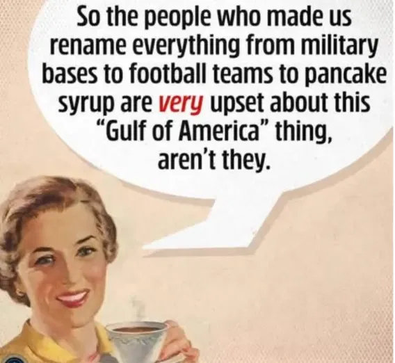 1740323316899.png