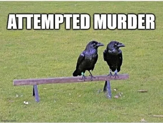 1740361422667.png