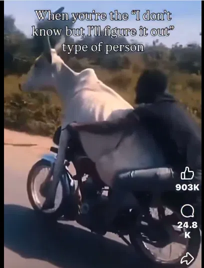 1740840327740.png