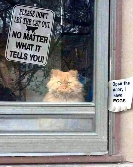 1741362365334.png