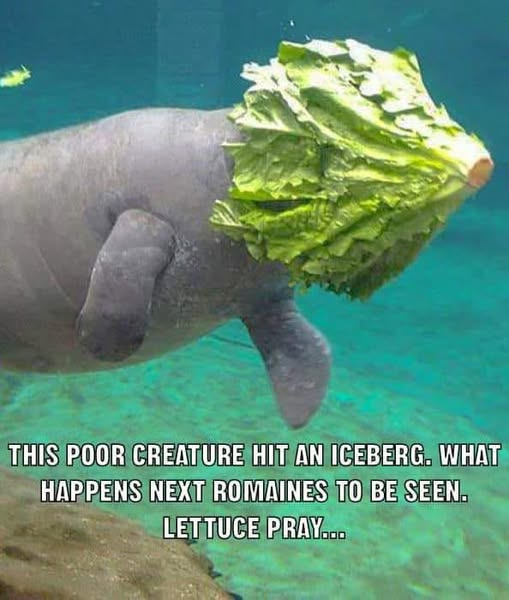 1741383939327.png