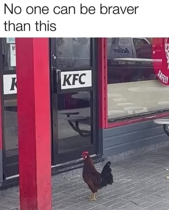 1741392525673.png