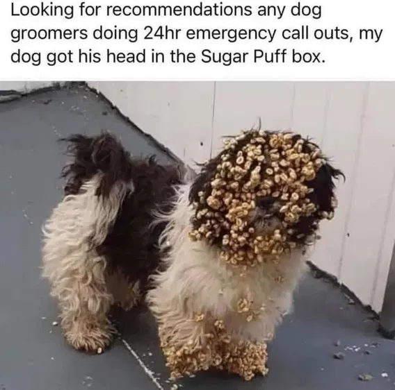 1741447736334.png