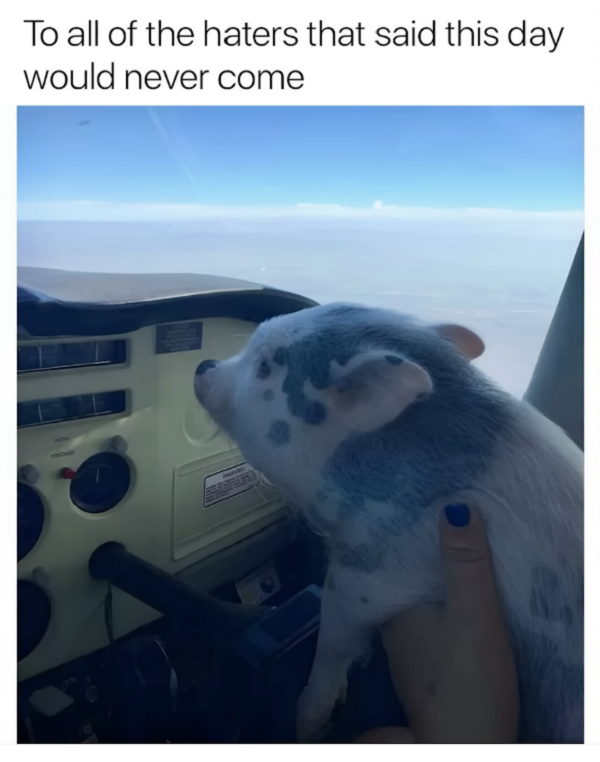 1741958713075.png