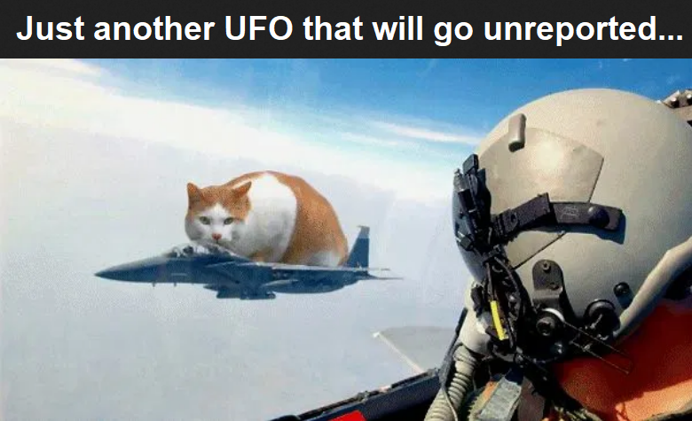 1741959550051.png