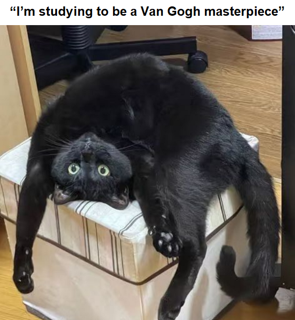 1741959583963.png