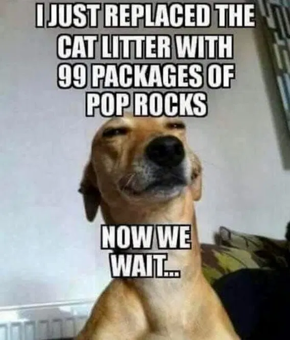 1742206093474.png