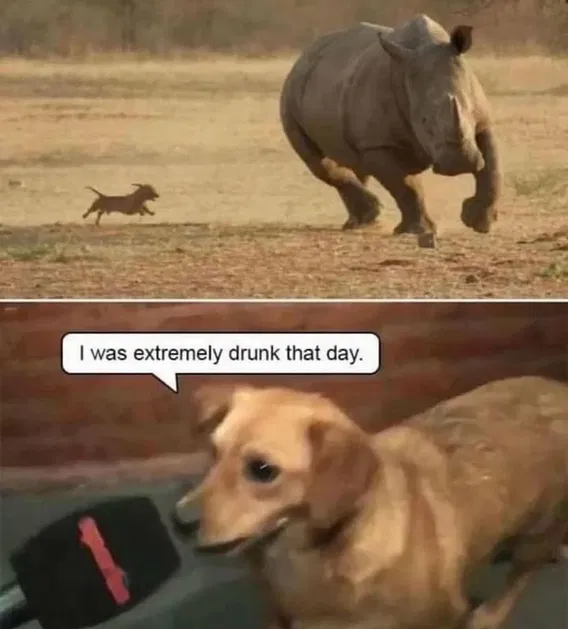 1742350580219.png