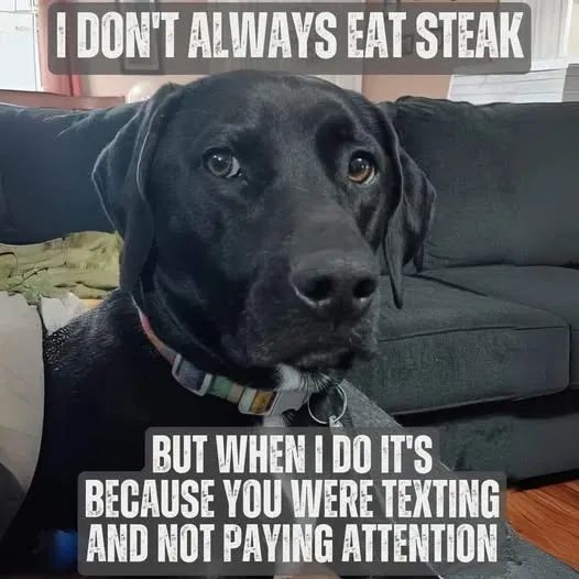 1742812731639.png