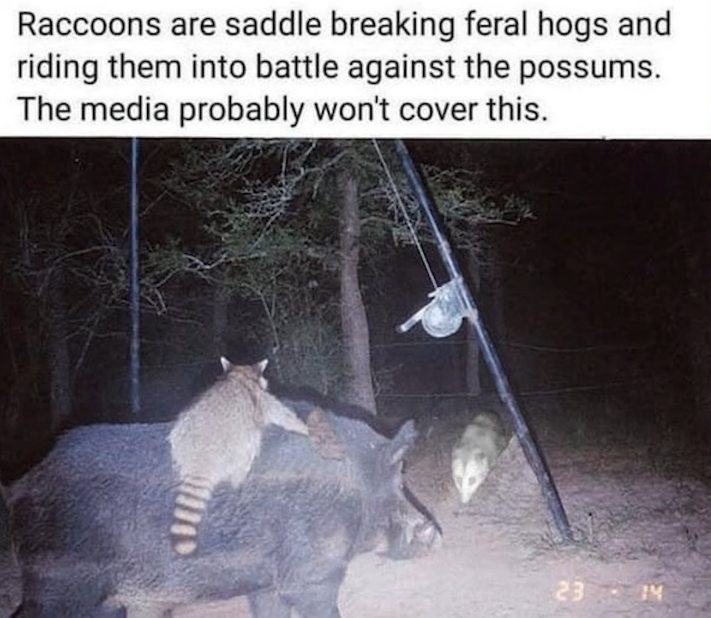 1742864270515.png