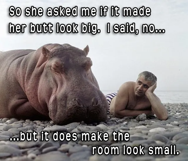 1742935644449.png