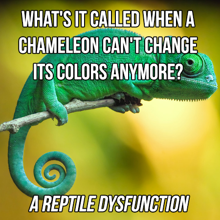1742935663813.png