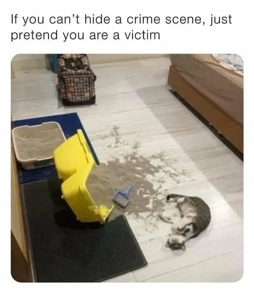 1743069310987.png