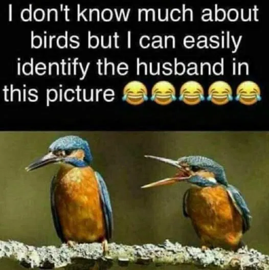 1743156758182.png
