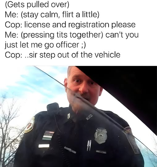 1743278281146.png