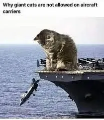1743280751928.png