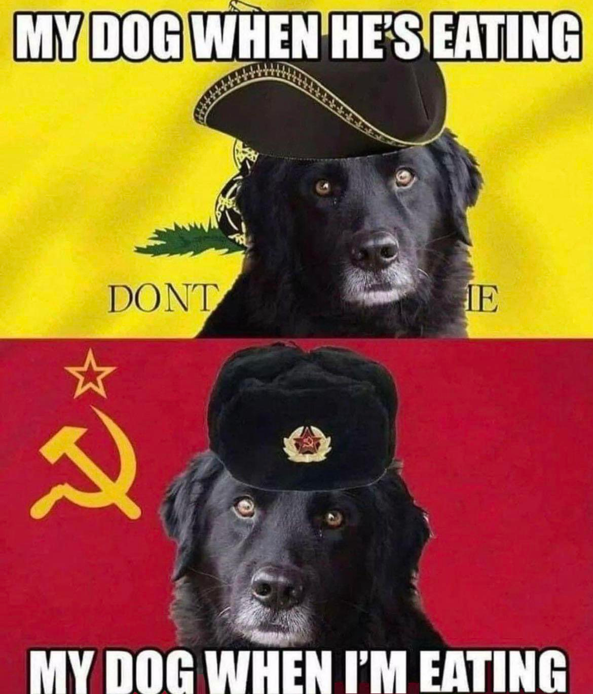 1743302461625.png