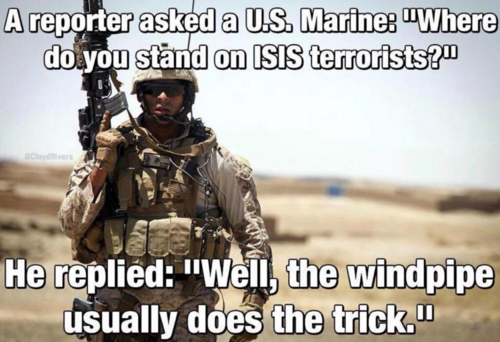 1743335045953.png