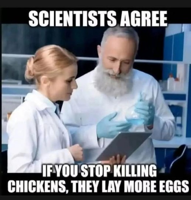 1743417403956.png