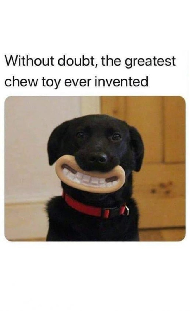 1743417495403.png