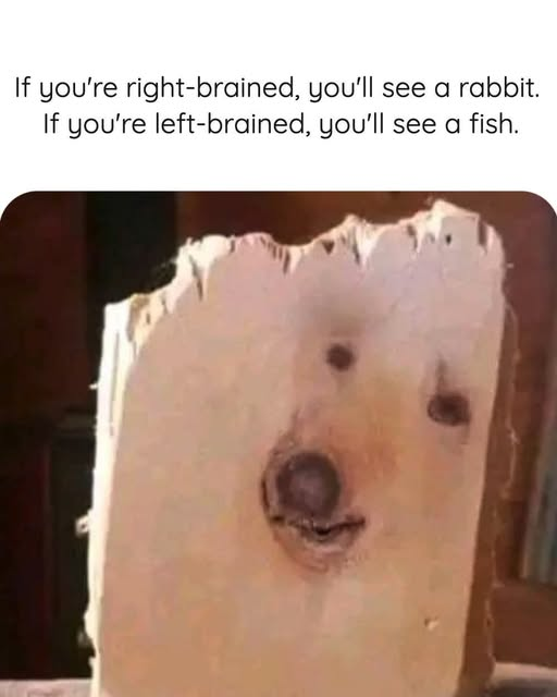 1743531135012.png