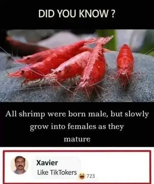 1743758622205.png