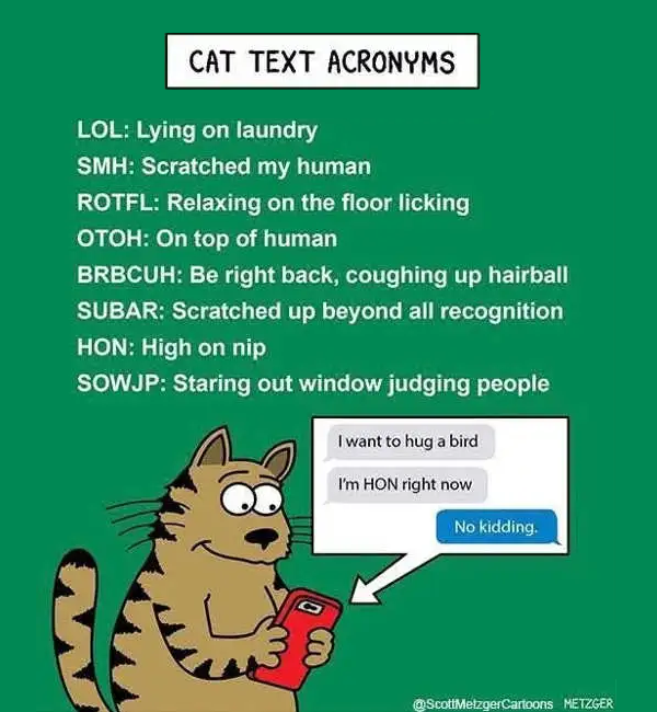 1743886375594.png