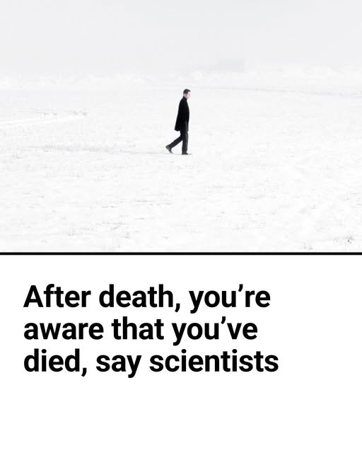 1744034882286.png