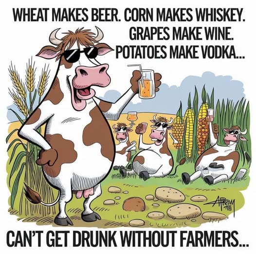 1744035462219.png