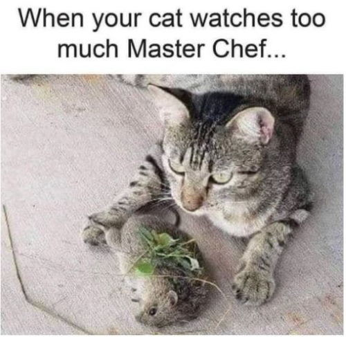 1744239153714.png