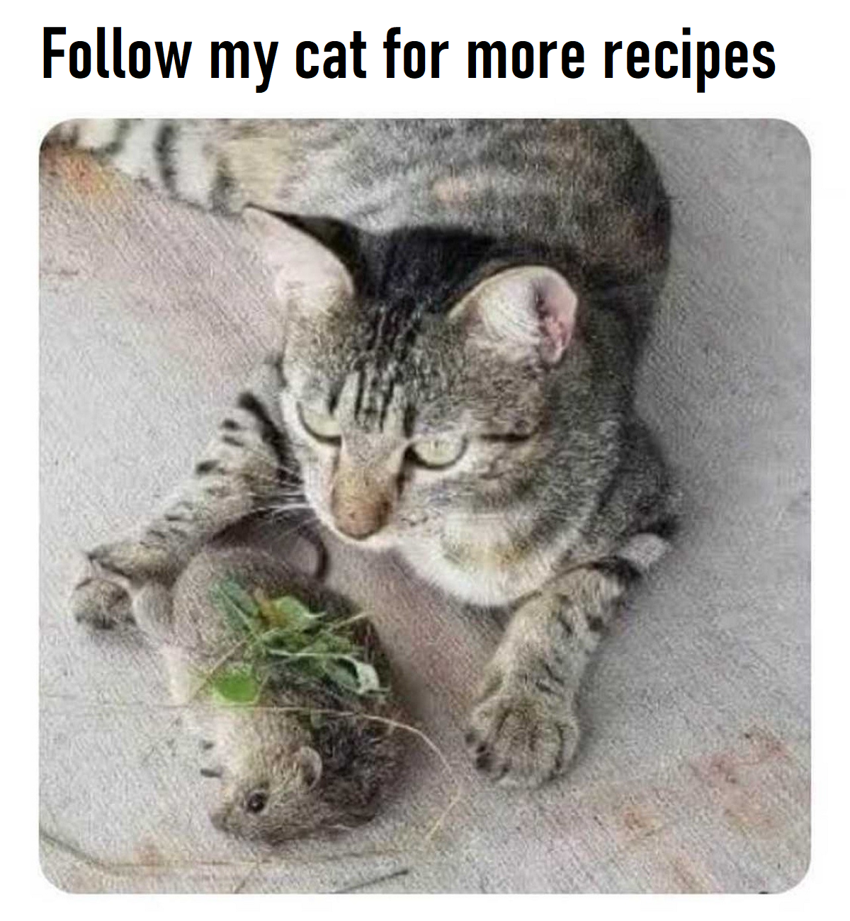 1744250165107.png