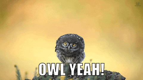 1744495531012.gif